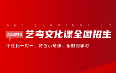 艺考文化课