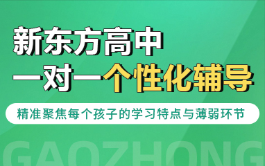 新东方高中一对一