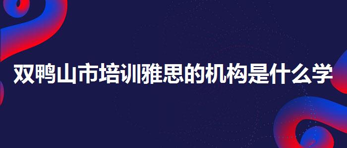 双鸭山市培训雅思的机构是什么学习课程