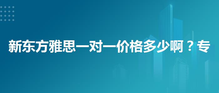 新东方雅思一对一价格多少啊？专业人士解读利弊