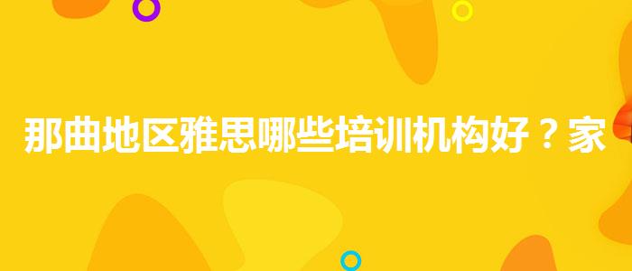 那曲地区雅思哪些培训机构好？家长分享心得