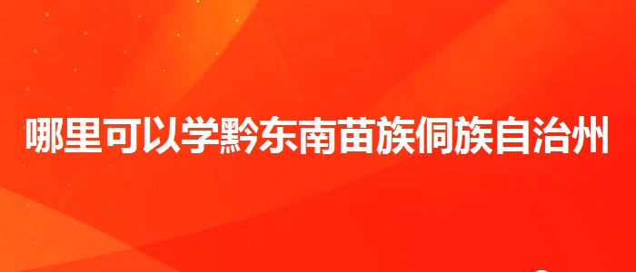 哪里可以学黔东南苗族侗族自治州好的雅思班