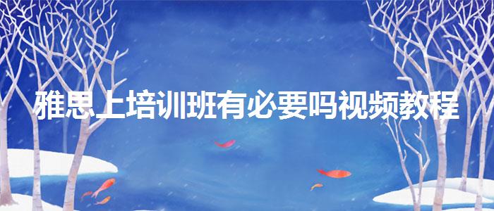 雅思上培训班有必要吗视频教程