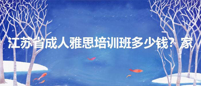 江苏省成人雅思培训班多少钱？家长分享心得