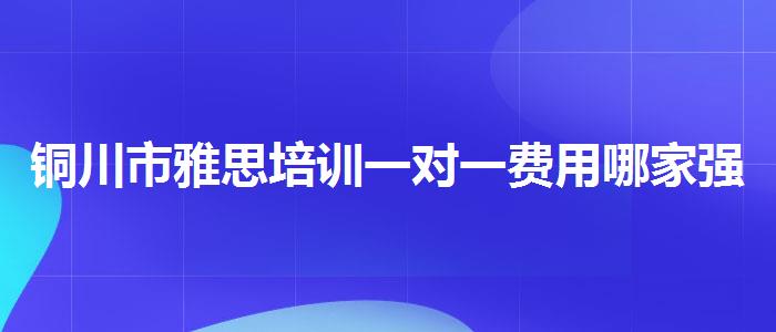 铜川市雅思培训一对一费用哪家强