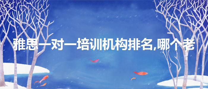 雅思一对一培训机构排名,哪个老师讲得好