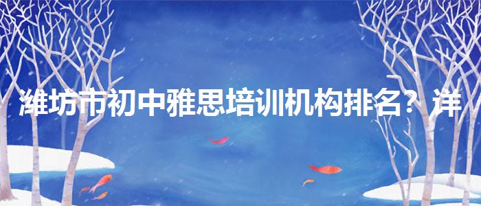 潍坊市初中雅思培训机构排名？详细解读