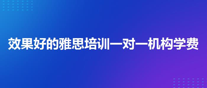 效果好的雅思培训一对一机构学费是多少