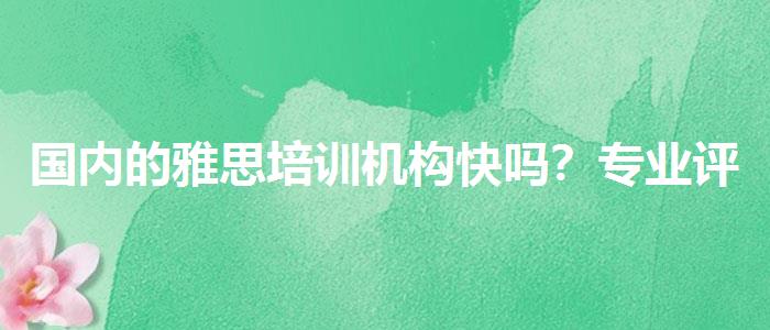 国内的雅思培训机构快吗？专业评测与推荐
