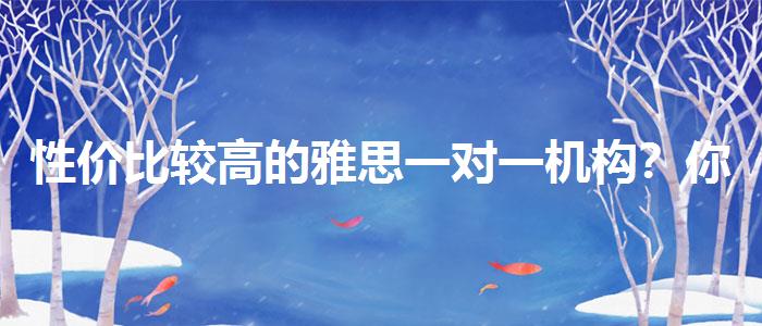 性价比较高的雅思一对一机构？你需要了解这些信息。
