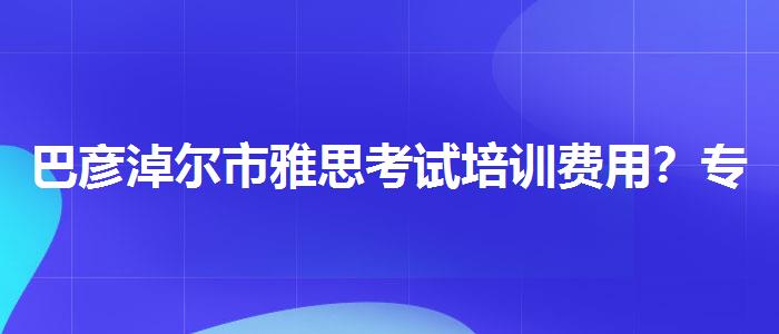 巴彦淖尔市雅思考试培训费用？专业评测与推荐