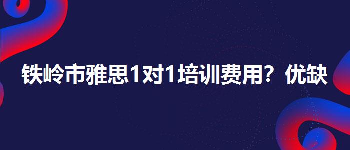 铁岭市雅思1对1培训费用？优缺点分析