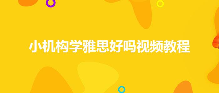 小机构学雅思好吗视频教程
