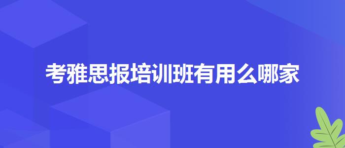考雅思报培训班有用么哪家