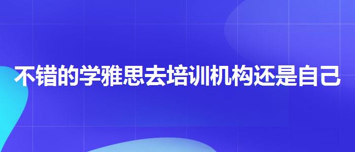 不错的学雅思去培训机构还是自己在家学