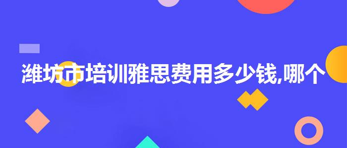 潍坊市培训雅思费用多少钱,哪个老师教的好