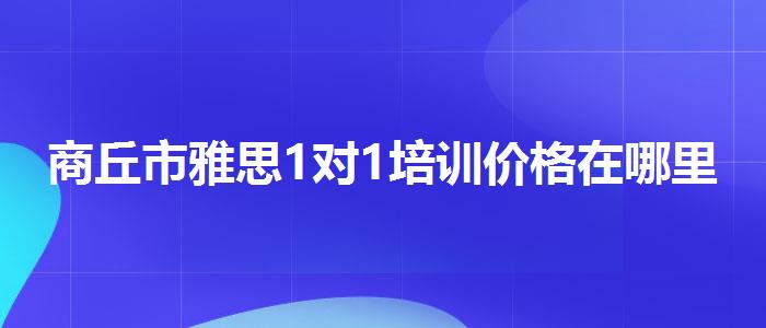 商丘市雅思1對1培訓(xùn)價格在哪里