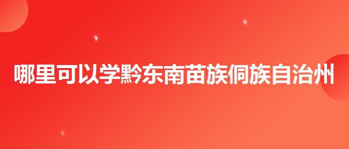 哪里可以学黔东南苗族侗族自治州雅思哪里培训较好