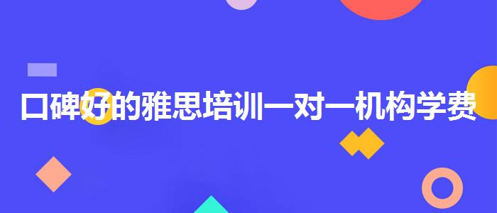 口碑好的雅思培训一对一机构学费多少
