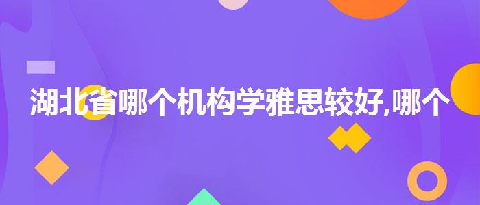 湖北省哪个机构学雅思较好,哪个老师讲得好