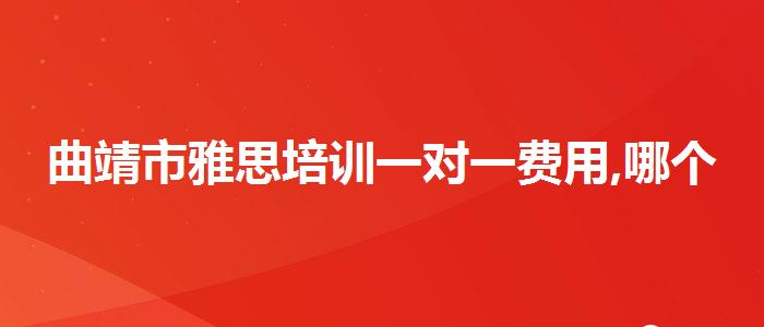 曲靖市雅思培訓(xùn)一對一費用,哪個老師教的好