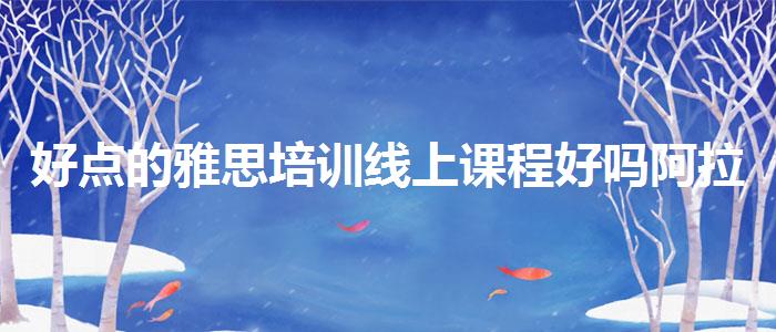 好點的雅思培訓線上課程好嗎阿拉善盟