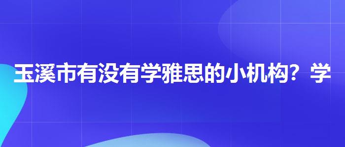 玉溪市有没有学雅思的小机构？学员口碑调查
