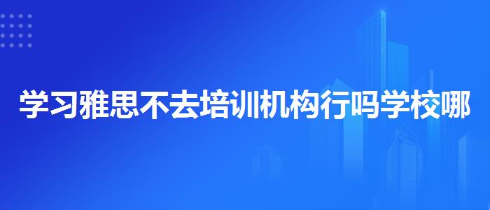 學(xué)習(xí)雅思不去培訓(xùn)機(jī)構(gòu)行嗎學(xué)校哪個(gè)好