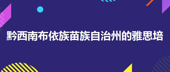 黔西南布依族苗族自治州的雅思培訓班嗎？專業(yè)人士解析攻略