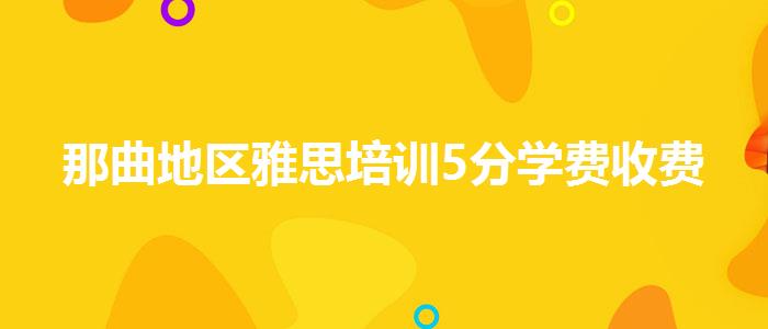 那曲地區(qū)雅思培訓5分學費收費
