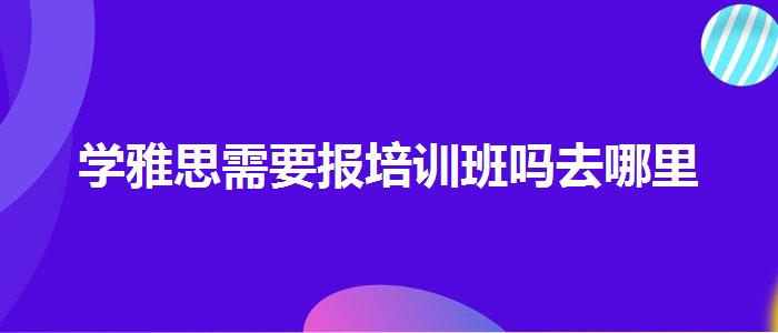 學雅思需要報培訓班嗎去哪里