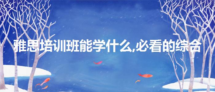 雅思培训班能学什么,必看的综合评测