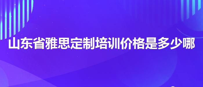 山东省雅思定制培训价格是多少哪家强
