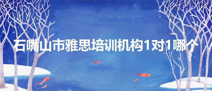 石嘴山市雅思培训机构1对1哪个好？如何备考？