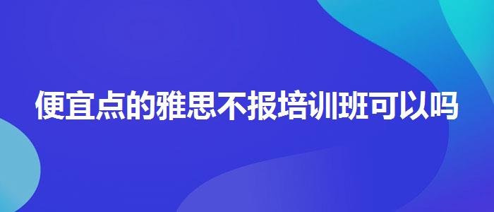 便宜点的雅思不报培训班可以吗
