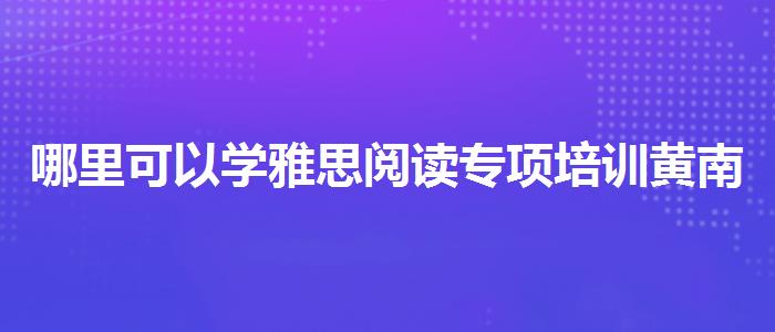 哪里可以学雅思阅读专项培训黄南藏族自治州哪里好
