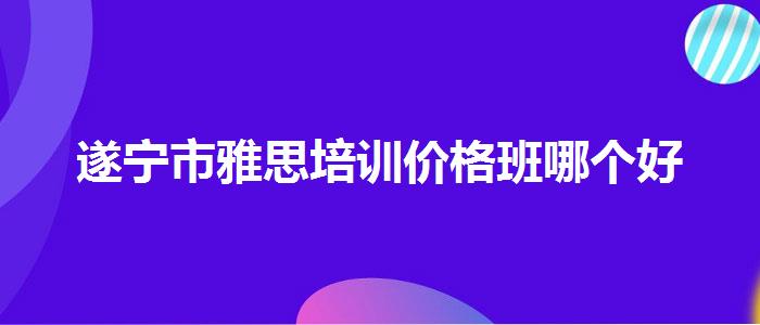 遂宁市雅思培训价格班哪个好
