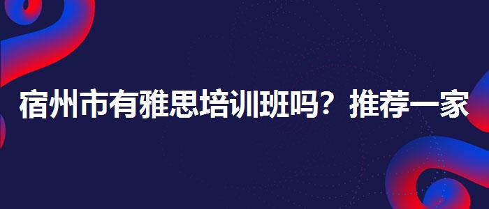 宿州市有雅思培训班吗?推荐一家靠谱的。