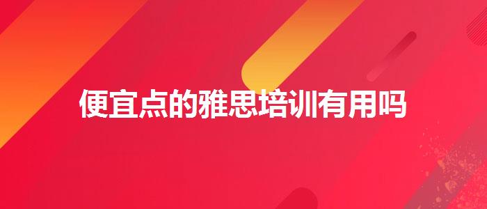 便宜点的雅思培训有用吗