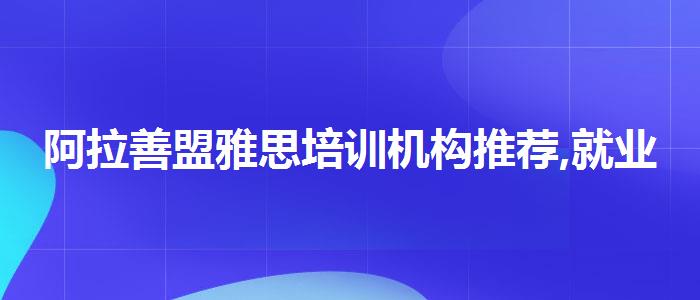 阿拉善盟雅思培训机构推荐,就业前景分析